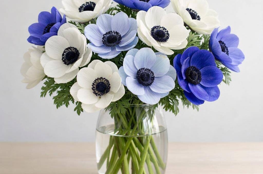 Buket-anemone: Farver, pleje og køb af smukke anemoner i buketter